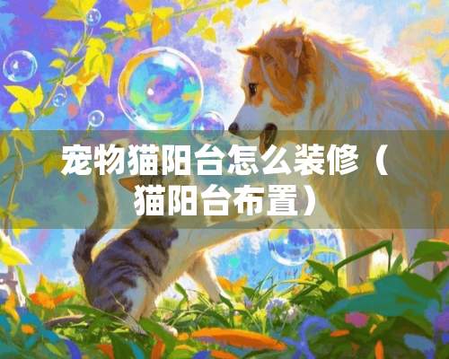 宠物猫阳台怎么装修（猫阳台布置）