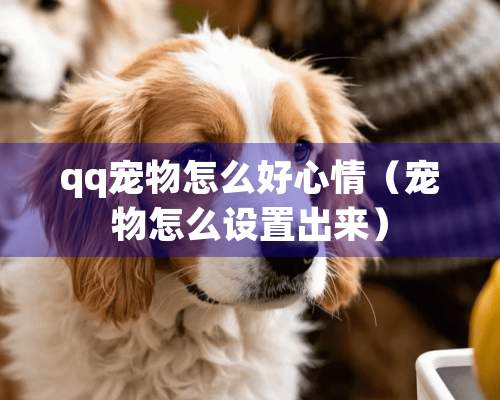 qq宠物怎么好心情（宠物怎么设置出来）