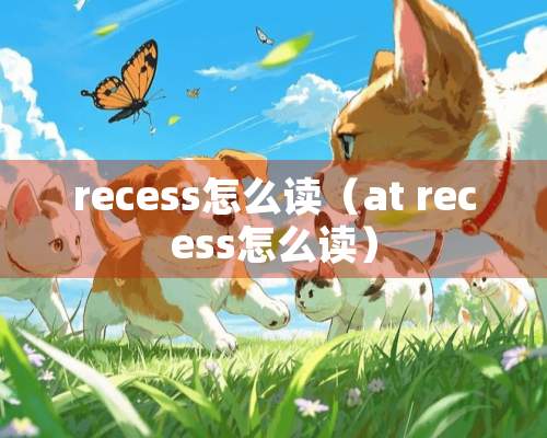 recess怎么读（at recess怎么读）