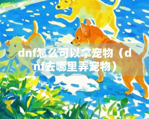 dnf怎么可以拿宠物（dnf去哪里弄宠物）