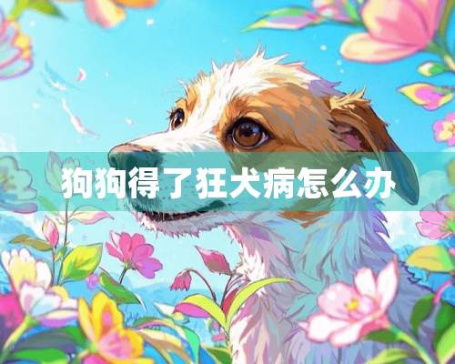 狗狗得了狂犬病怎么办