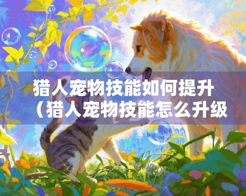 猎人宠物技能如何提升（猎人宠物技能怎么升级）