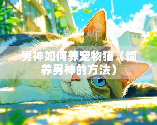 男神如何养宠物猫（饲养男神的方法）