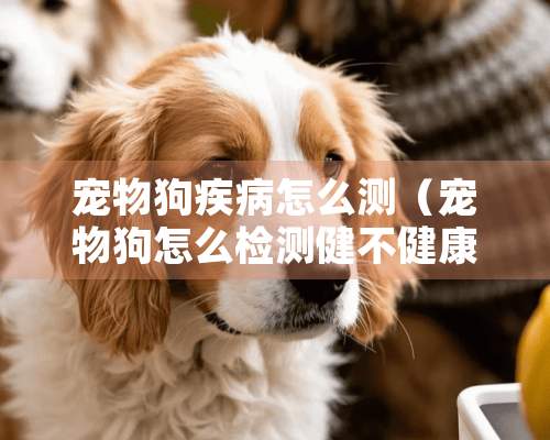 宠物狗疾病怎么测（宠物狗怎么检测健不健康）