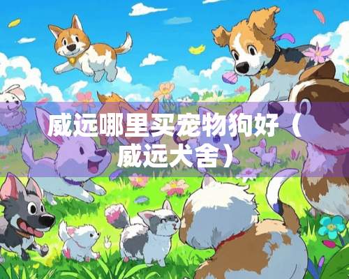 威远哪里买宠物狗好（威远犬舍）