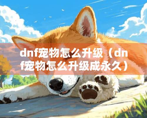 dnf宠物怎么升级（dnf宠物怎么升级成永久）