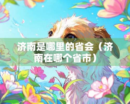 济南是哪里的省会（济南在哪个省市）