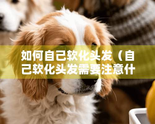 如何自己软化头发（自己软化头发需要注意什么）