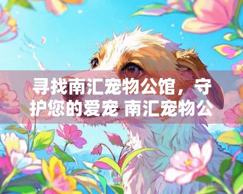 寻找南汇宠物公馆，守护您的爱宠 南汇宠物公馆在哪里啊