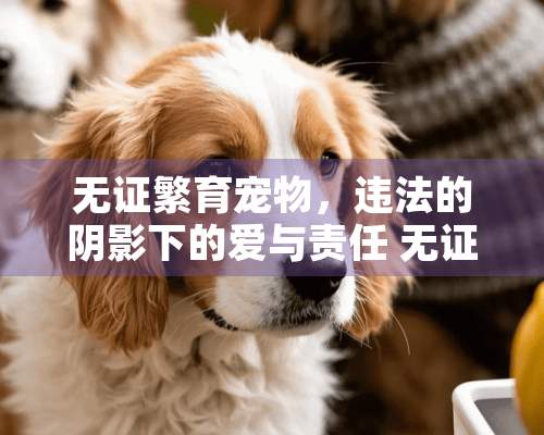 无证繁育宠物，违法的*影下的爱与责任 无证繁育宠物违法吗