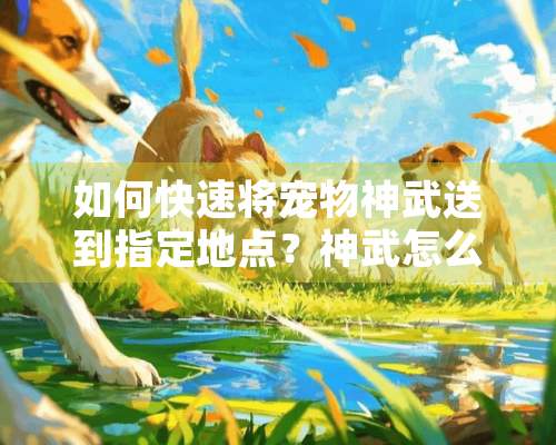 如何快速将宠物神武送到指定地点？神武怎么快速寄宠物