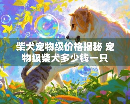 柴犬宠物级价格揭秘 宠物级柴犬多少钱一只