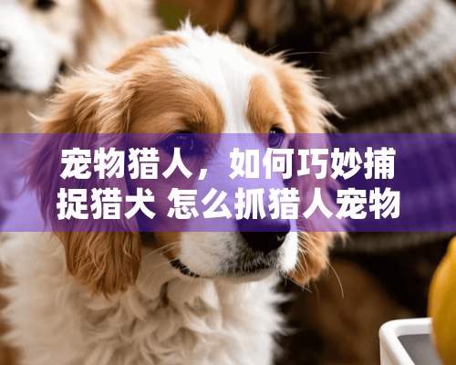 宠物猎人，如何巧妙捕捉猎犬 怎么抓猎人宠物