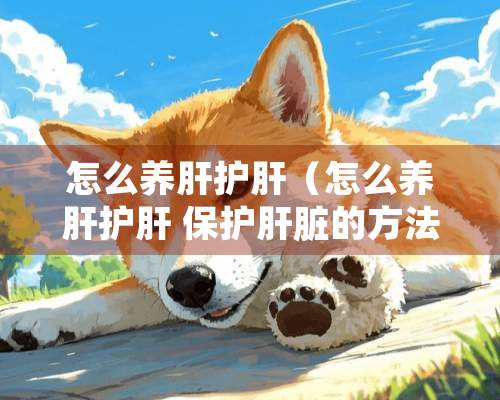 怎么养肝护肝（怎么养肝护肝 保护肝脏的方法）