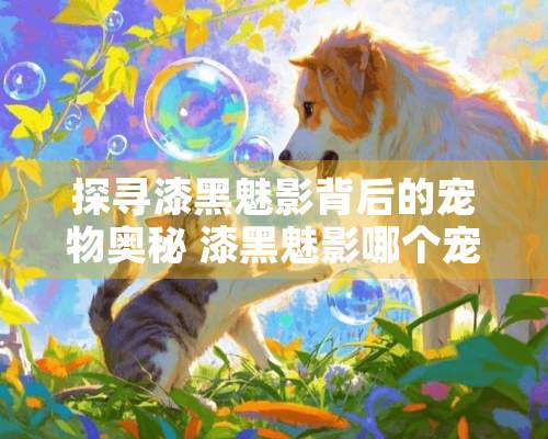 探寻漆黑魅影背后的宠物奥秘 漆黑魅影哪个宠物最强大