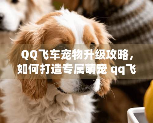 QQ飞车宠物升级攻略，如何打造专属萌宠 qq飞车怎么升级宠物