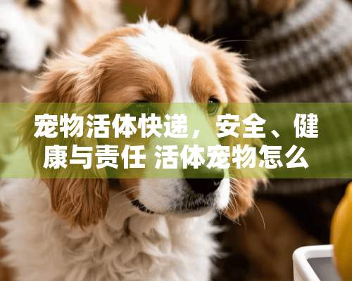 宠物**快递，安全、健康与责任 **宠物怎么快递