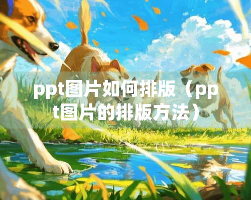 ppt图片如何排版（ppt图片的排版方法）