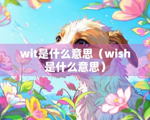 wit是什么意思（wish是什么意思）