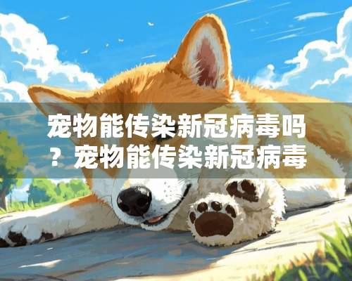 宠物能传染新冠病毒吗？宠物能传染新冠病毒吗现在