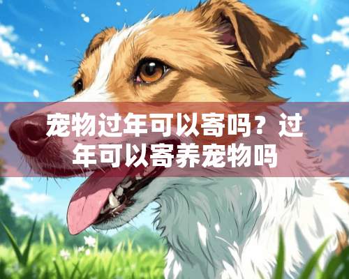 宠物过年可以寄吗？过年可以寄养宠物吗