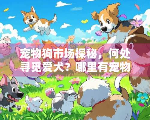 宠物狗市场探秘，何处寻觅爱犬？哪里有宠物狗市场