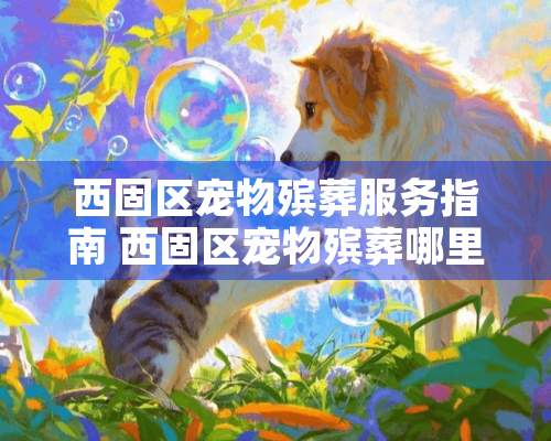 西固区宠物殡葬服务指南 西固区宠物殡葬哪里做