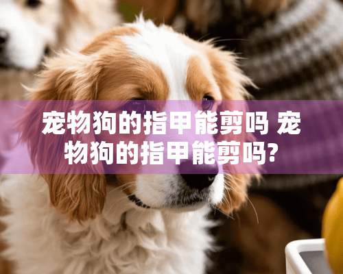 宠物狗的指甲能剪吗 宠物狗的指甲能剪吗?