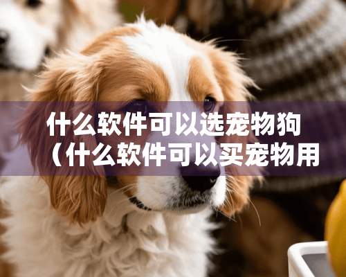 什么软件可以选宠物狗（什么软件可以买宠物用品）