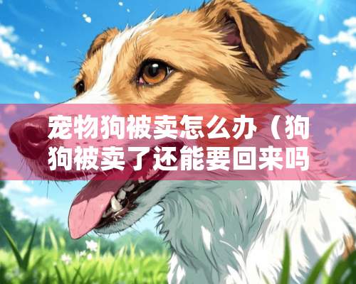 宠物狗被卖怎么办（狗狗被卖了还能要回来吗）