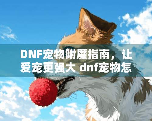 DNF宠物附魔指南，让爱宠更强大 dnf宠物怎么附魔宝珠