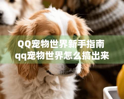 QQ宠物世界新手指南 qq宠物世界怎么搞出来