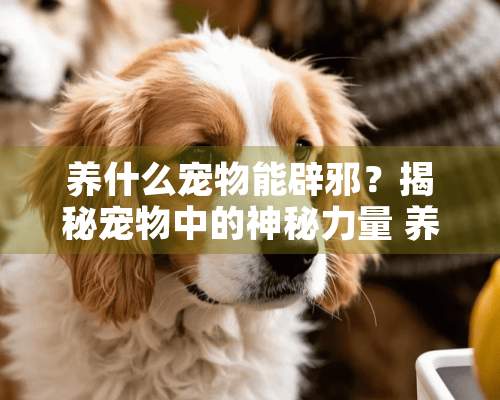 养什么宠物能辟邪？揭秘宠物中的神秘力量 养什么宠物能辟邪驱鬼