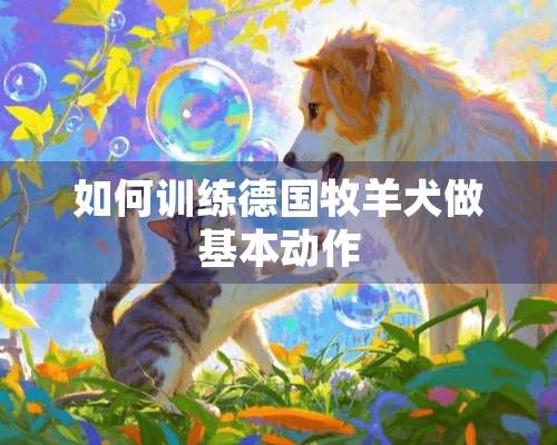 如何训练德国牧羊犬做基本动作