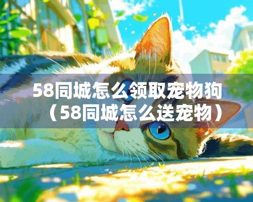 58同城怎么领取宠物狗（58同城怎么送宠物）