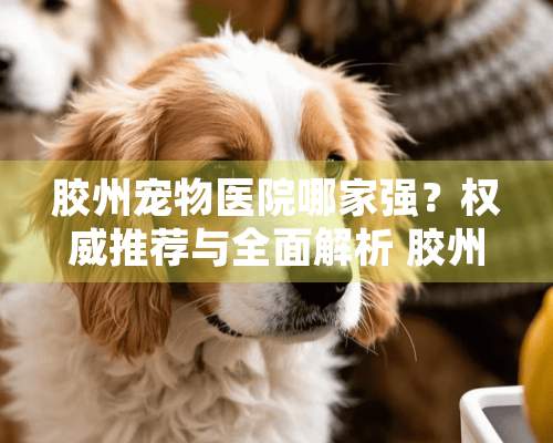 胶州宠物医院哪家强？权威推荐与全面解析 胶州哪个宠物医院好点