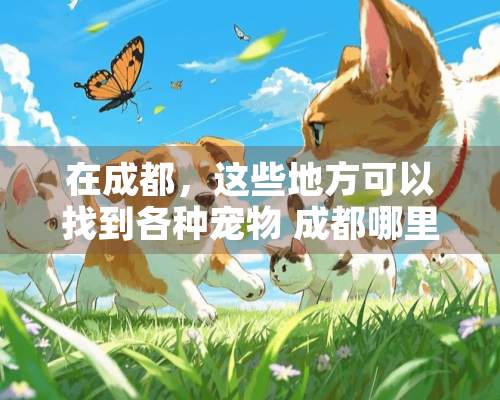 在成都，这些地方可以找到各种宠物 成都哪里有卖宠物的