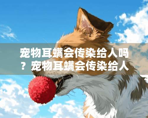 宠物耳螨会传染给人吗？宠物耳螨会传染给人吗