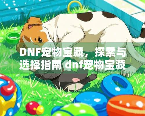 DNF宠物宝藏，探索与选择指南 dnf宠物宝藏哪个好