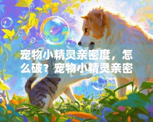 宠物小精灵亲密度，怎么破？宠物小精灵亲密度怎么看多少