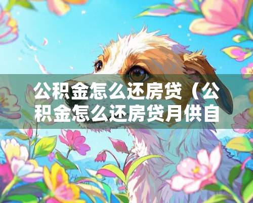 公积金怎么还房贷（公积金怎么还房贷月供自动扣除）