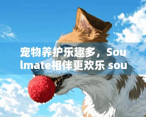 宠物养护乐趣多，Soulmate相伴更欢乐 soul养宠物好玩吗