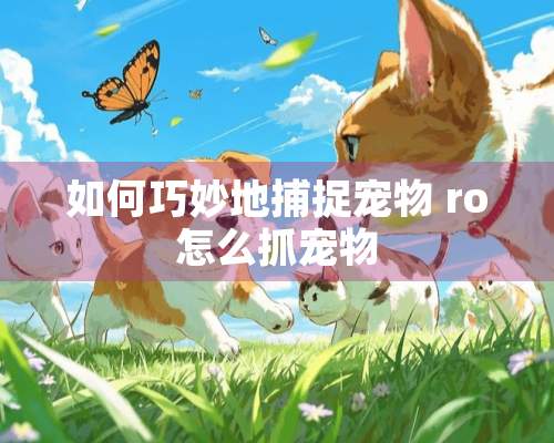 如何巧妙地捕捉宠物 ro怎么抓宠物