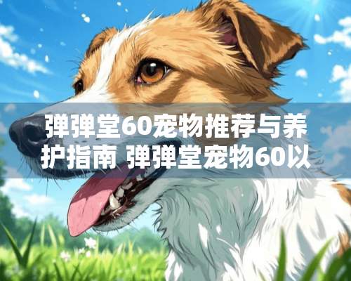 弹弹堂60宠物推荐与养护指南 弹弹堂宠物60以后怎么升级