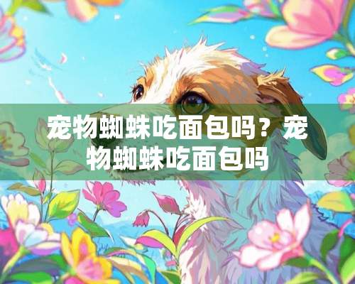 宠物蜘蛛吃面包吗？宠物蜘蛛吃面包吗