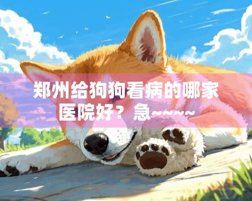 郑州给狗狗看病的哪家医院好？急~~~~