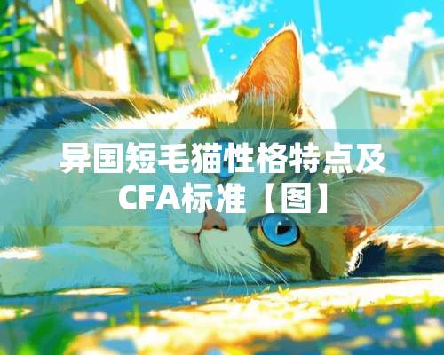 异国短毛猫性格特点及CFA标准【图】