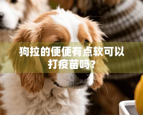 狗拉的便便有点软可以打**吗？