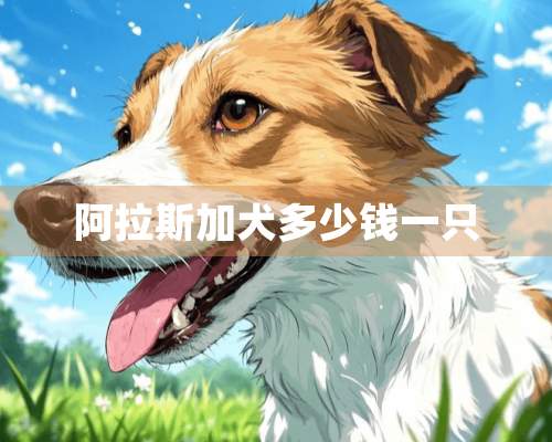 阿拉斯加犬多少钱一只