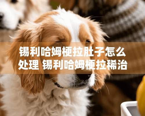 锡利哈姆梗拉肚子怎么处理 锡利哈姆梗拉稀治疗方法